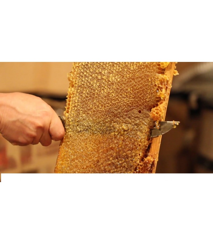 Căpăceală in miere de tei 400g - 2